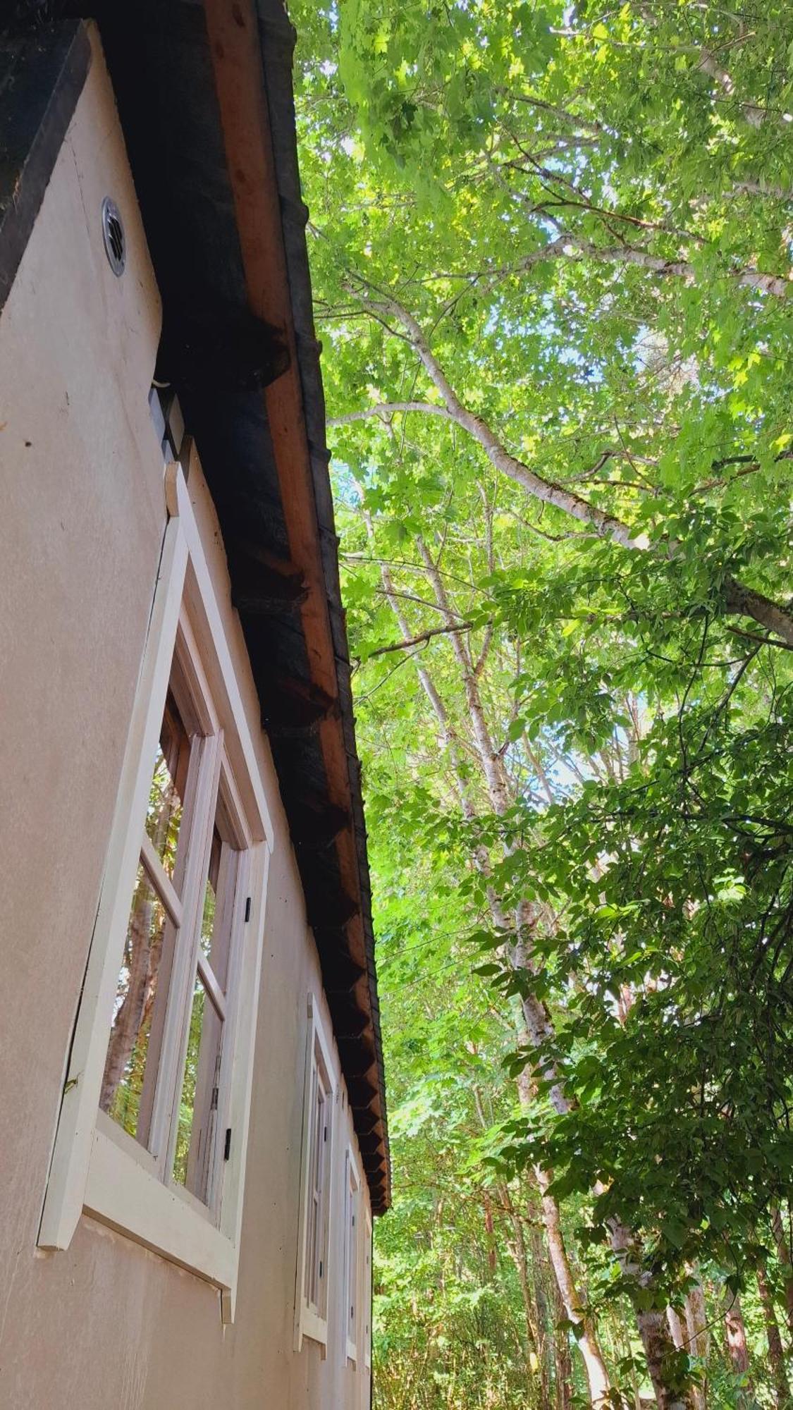 Kardoni Puhkelaager Tornimae Exterior foto